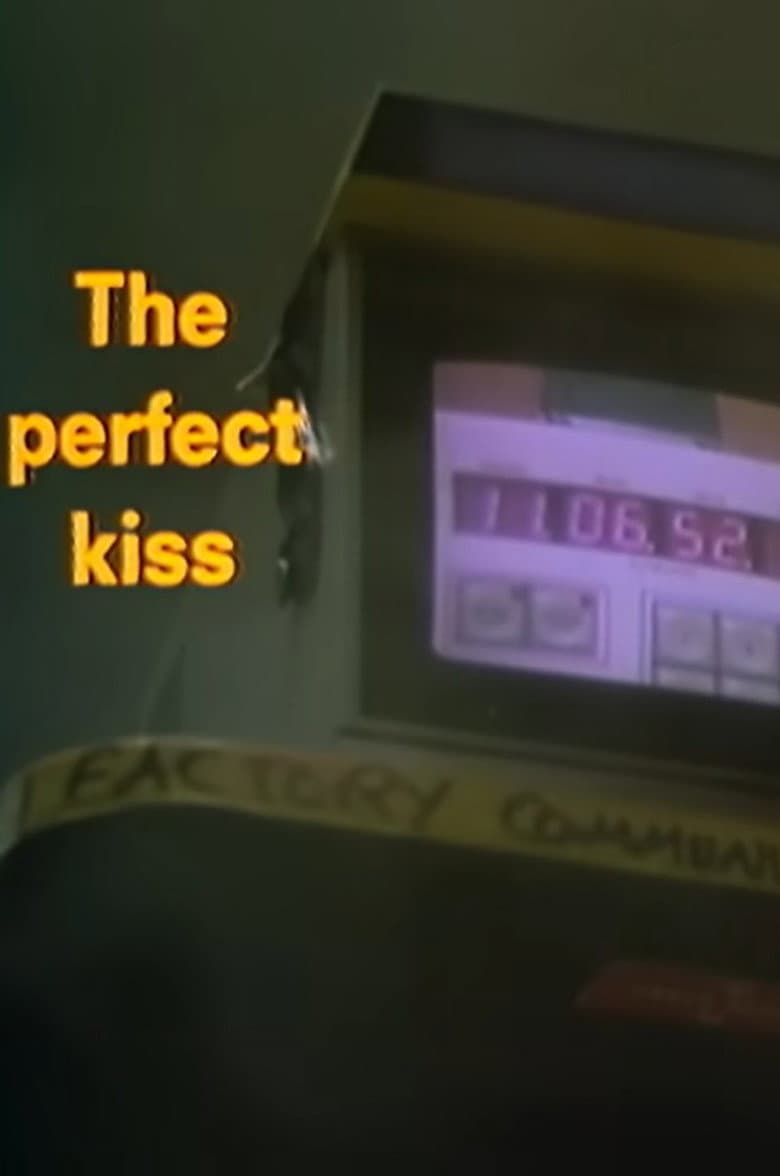 The Perfect Kiss poster