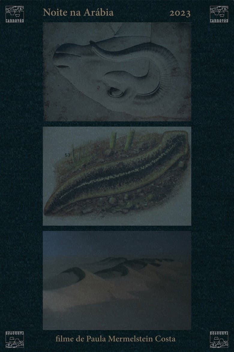 Arabian Night poster