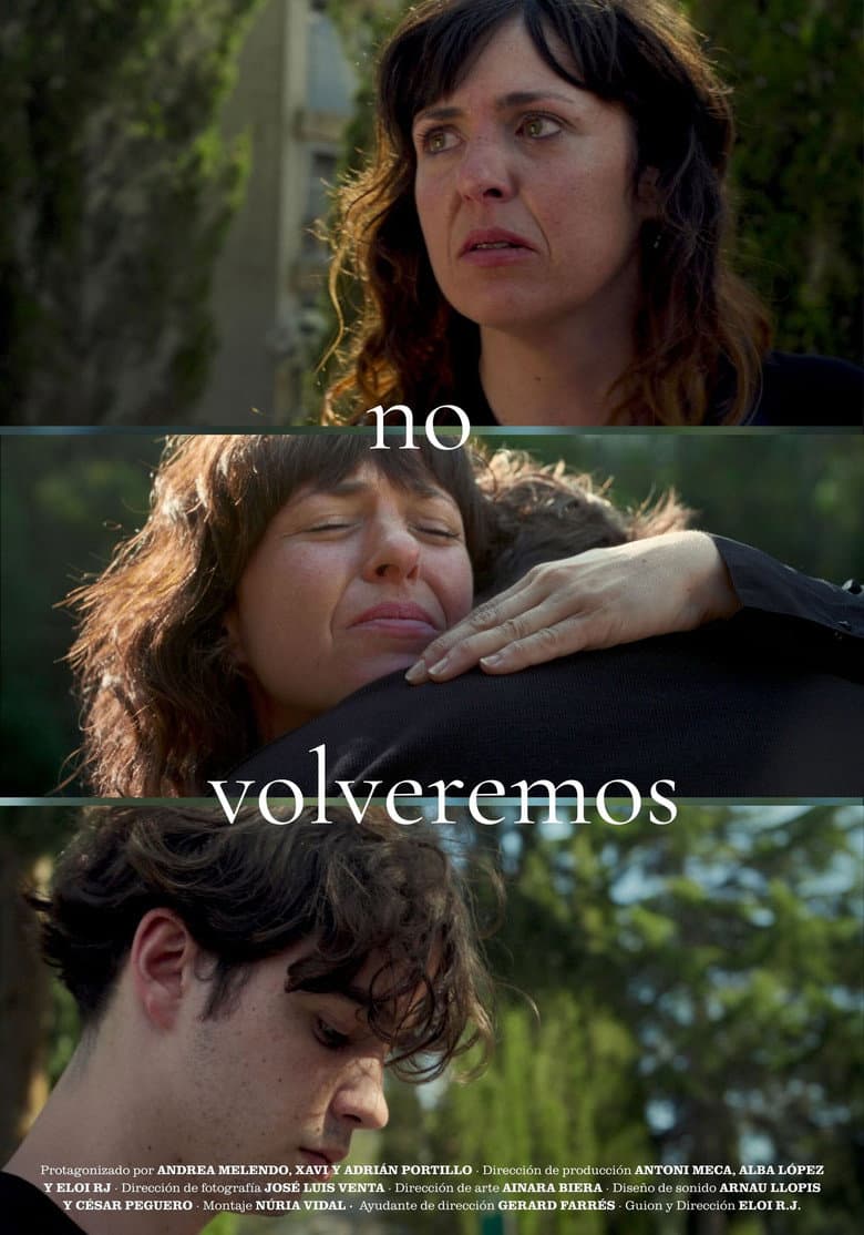 No volveremos poster