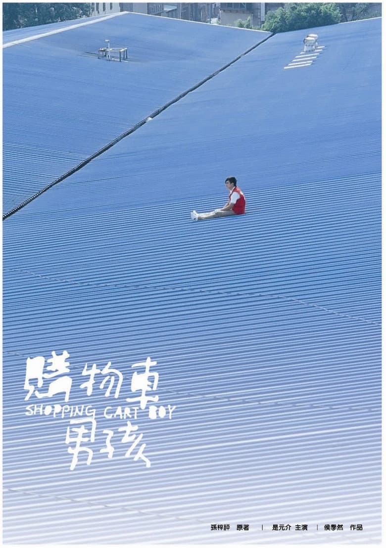 Shopping Cart Boy poster