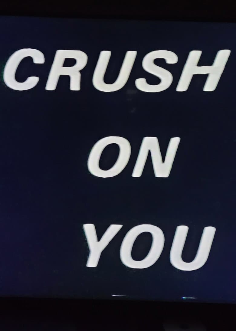 Crush on You poster