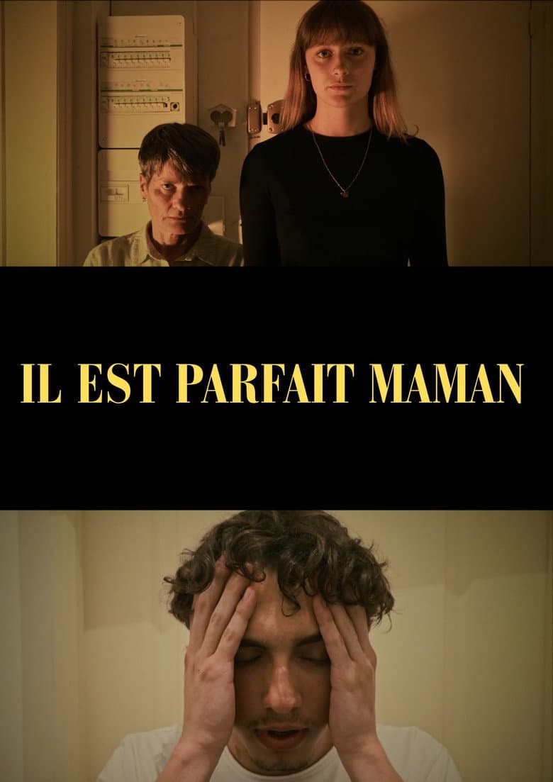 He's perfect mom poster