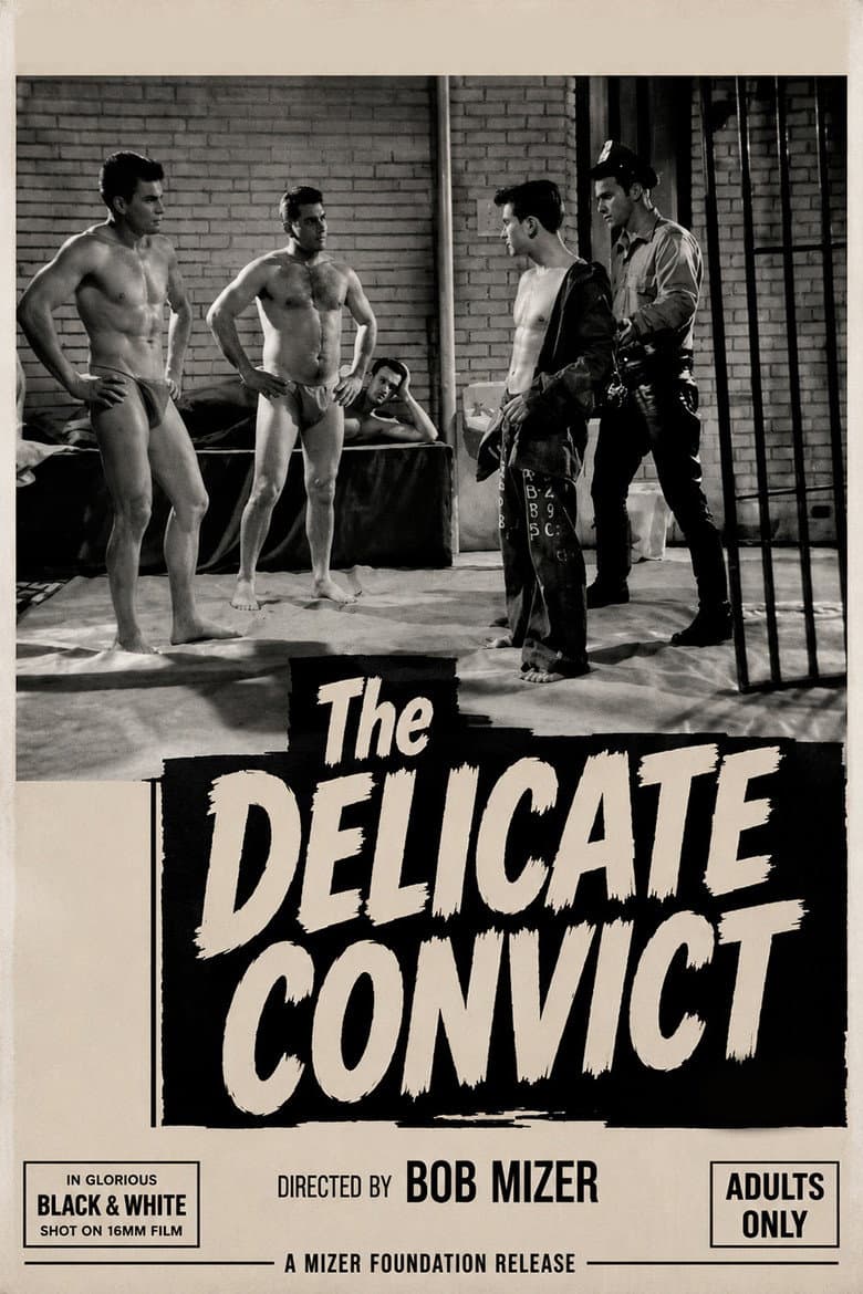 Delicate Convict poster