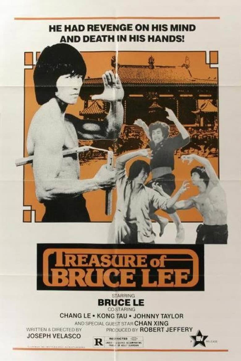 Treasure of Bruce Le poster