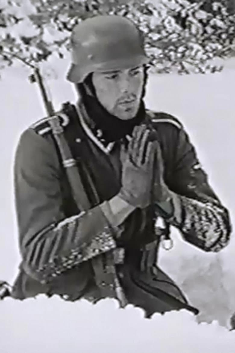 The Snow Field poster