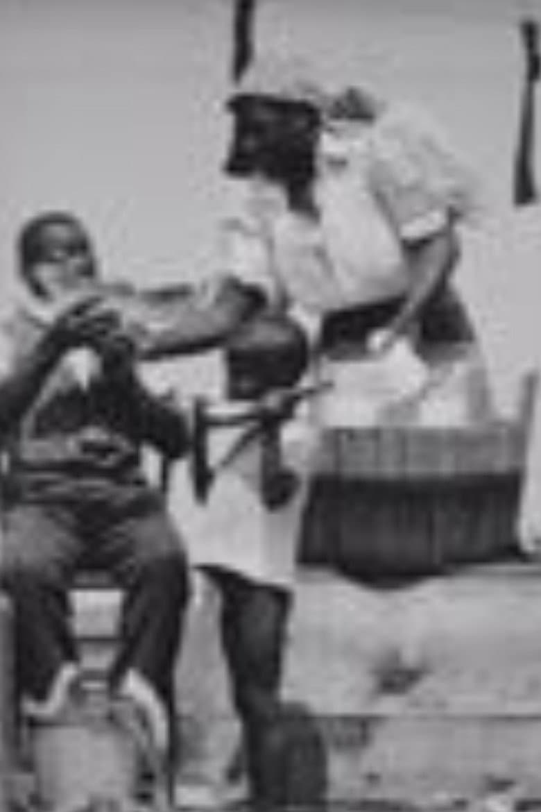 A Watermelon Feast poster