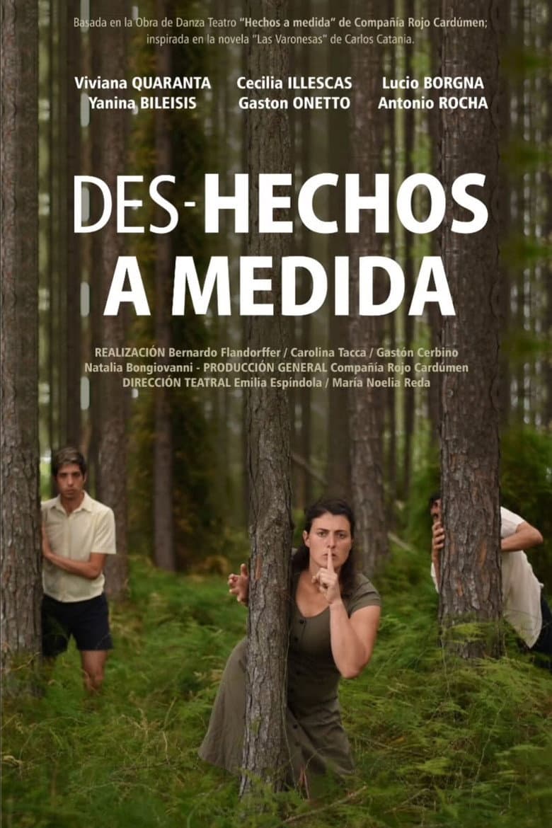 Des-hechos a medida poster