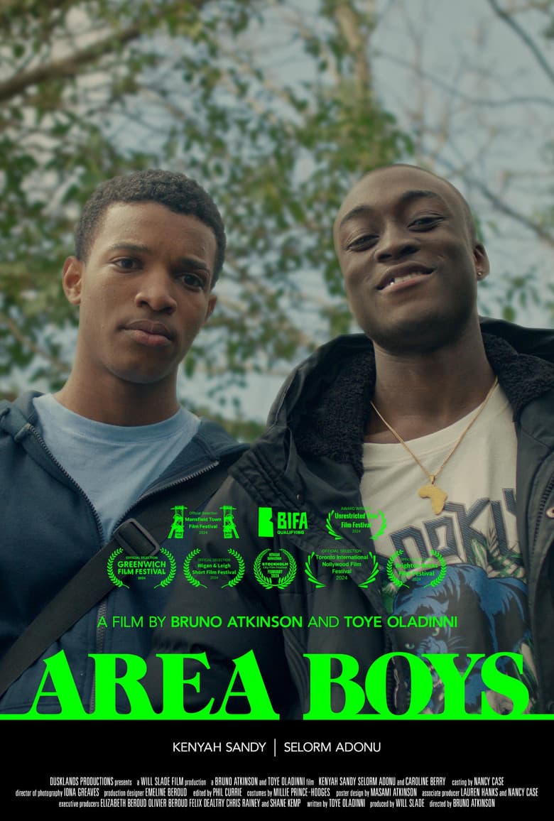 Area Boys poster