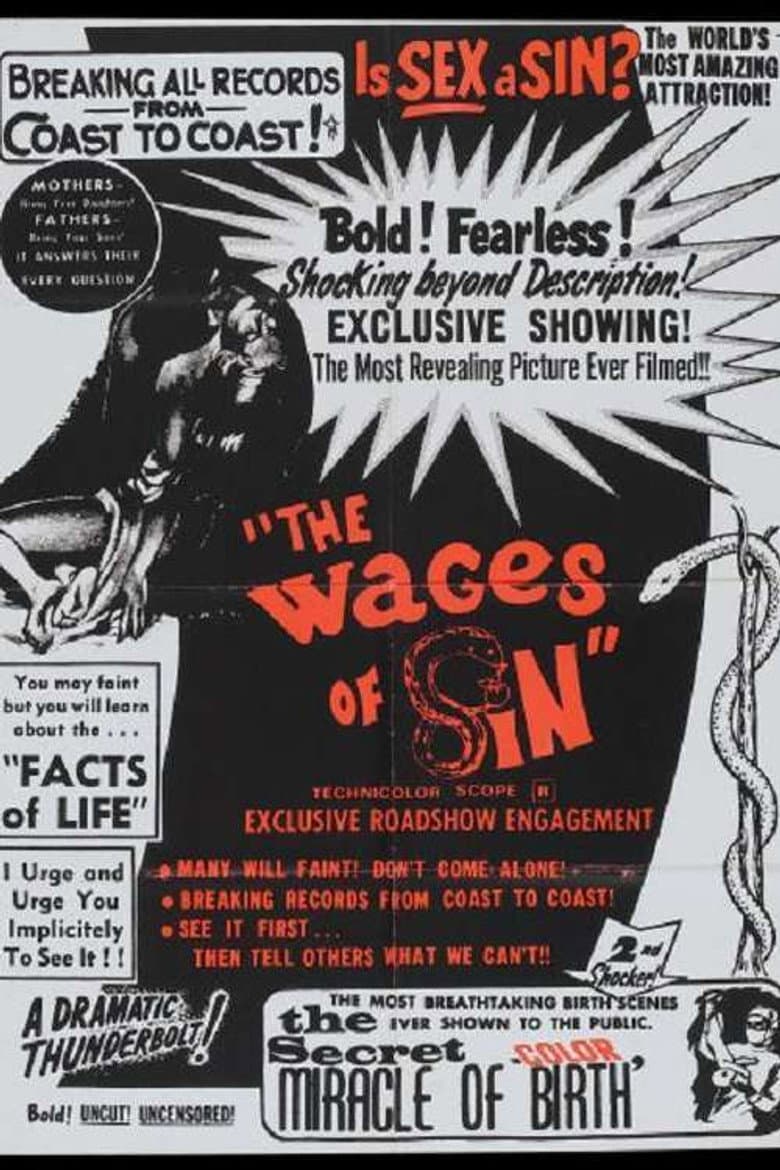 The Secret Miracle of Birth poster