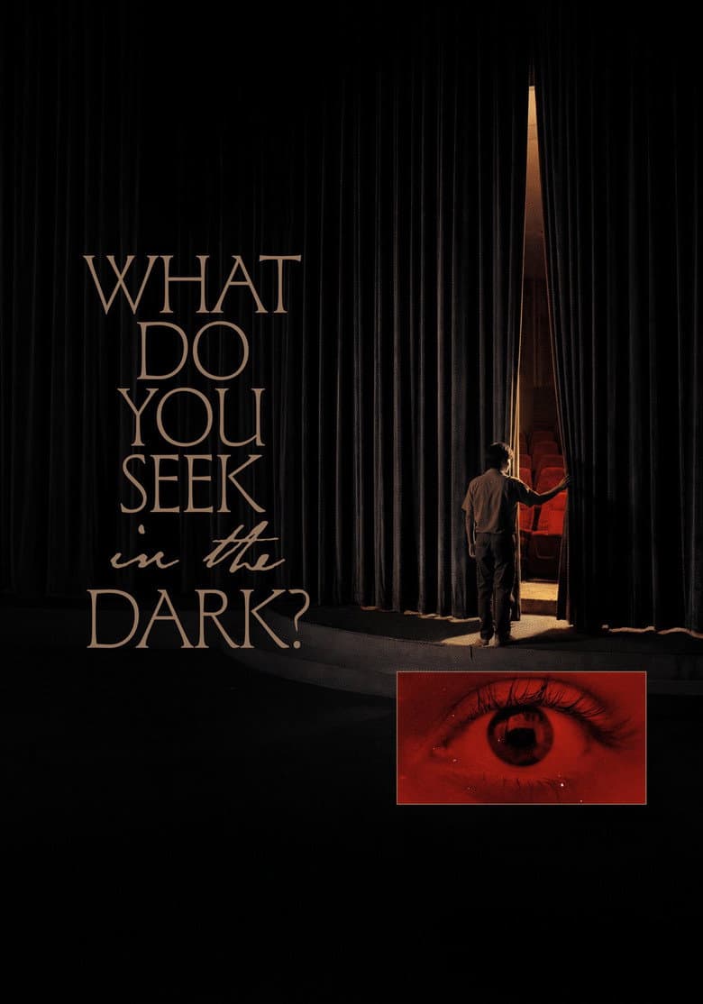 What Do You Seek in the Dark? poster