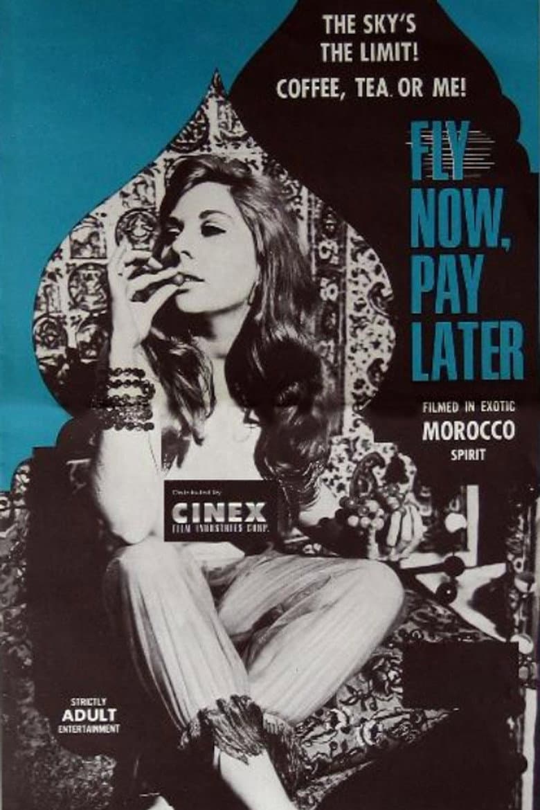 Fly Now, Pay Later poster