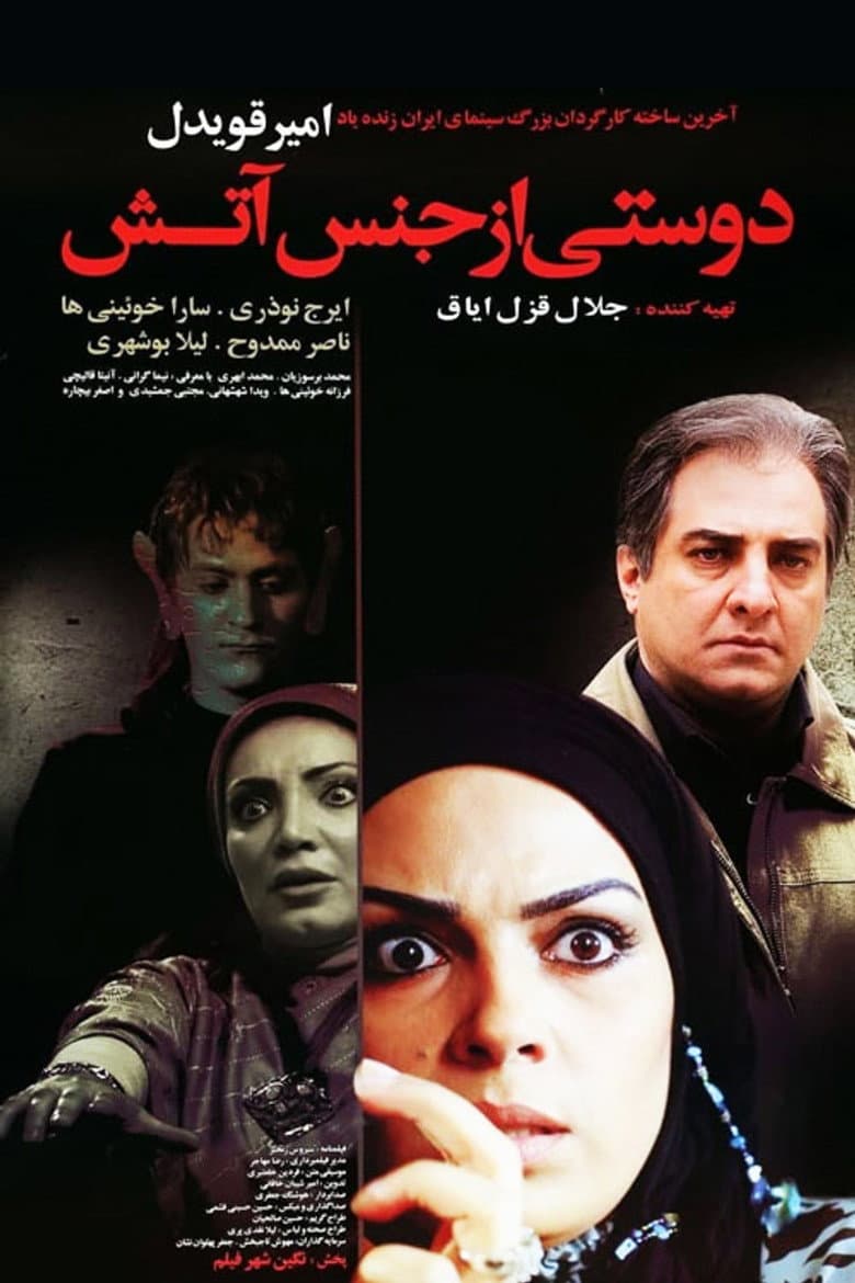 A Friend Made of Fire poster