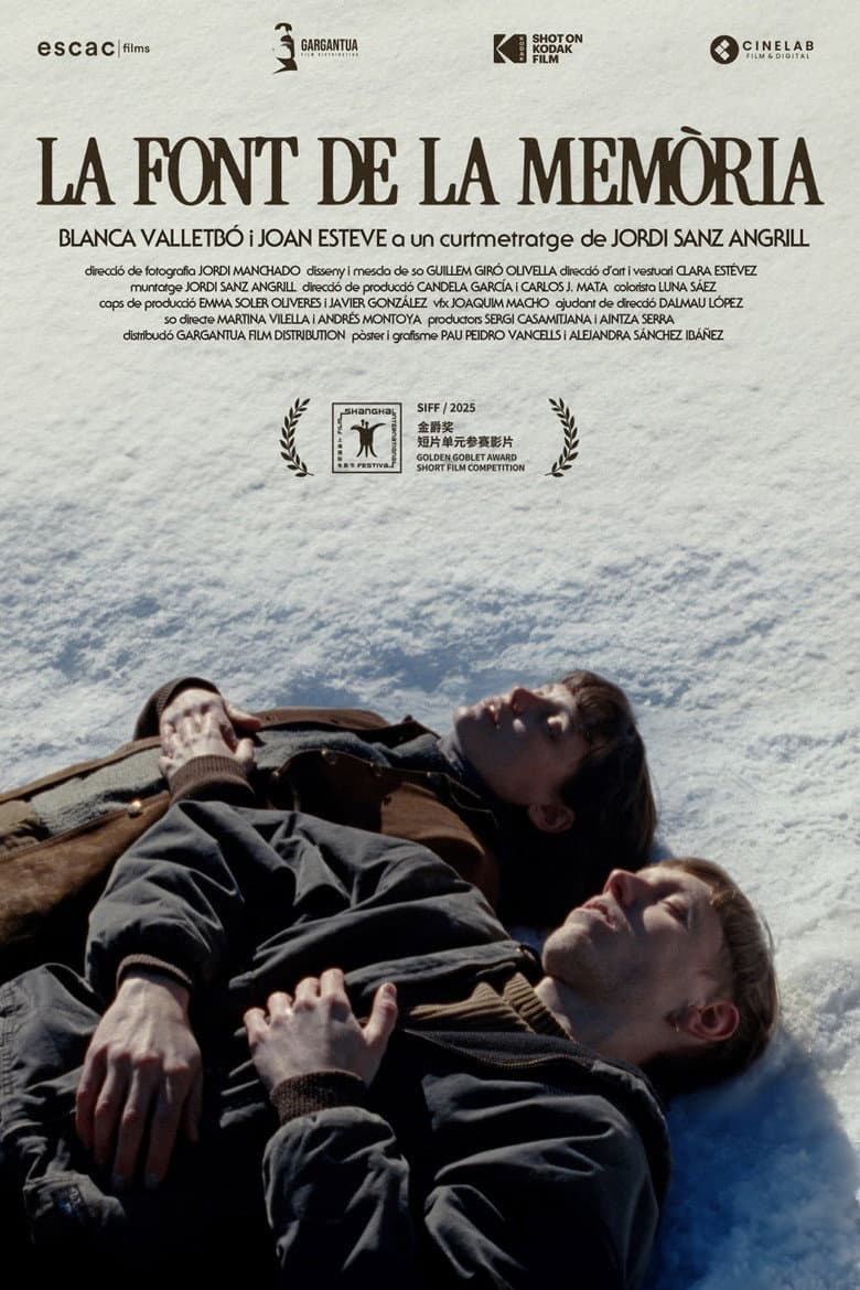 The Fountain of Memory poster