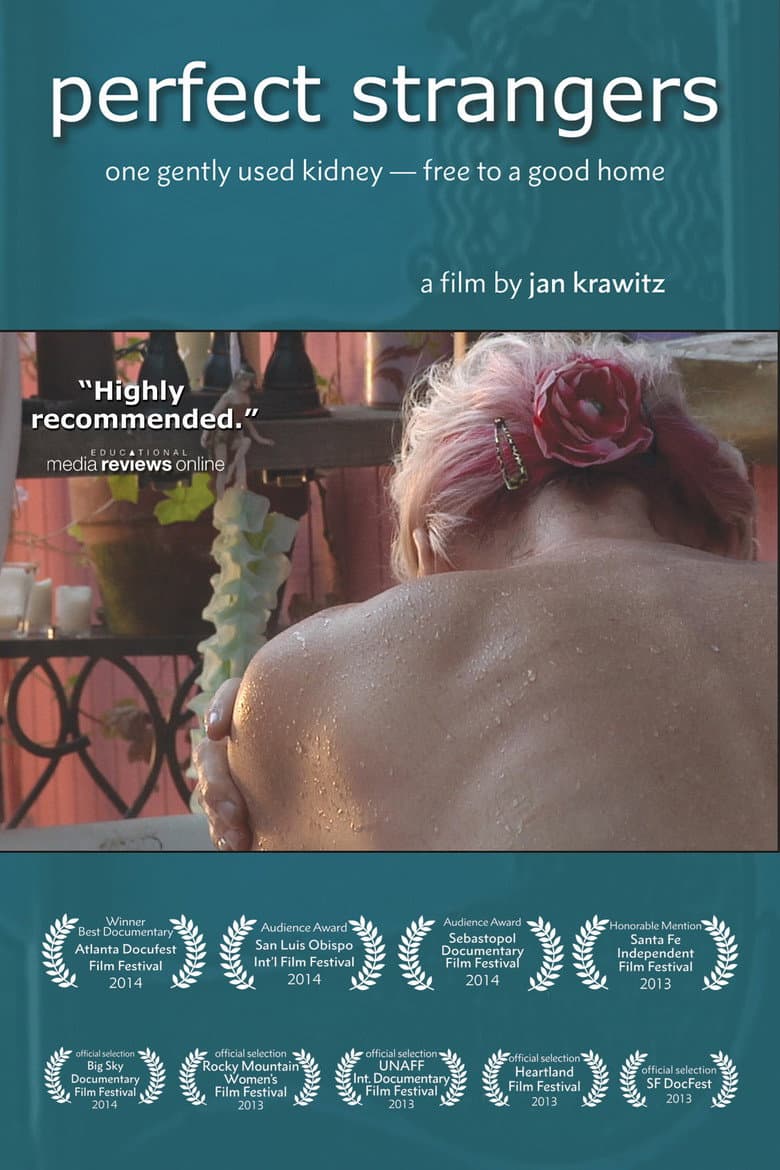 Perfect Strangers poster