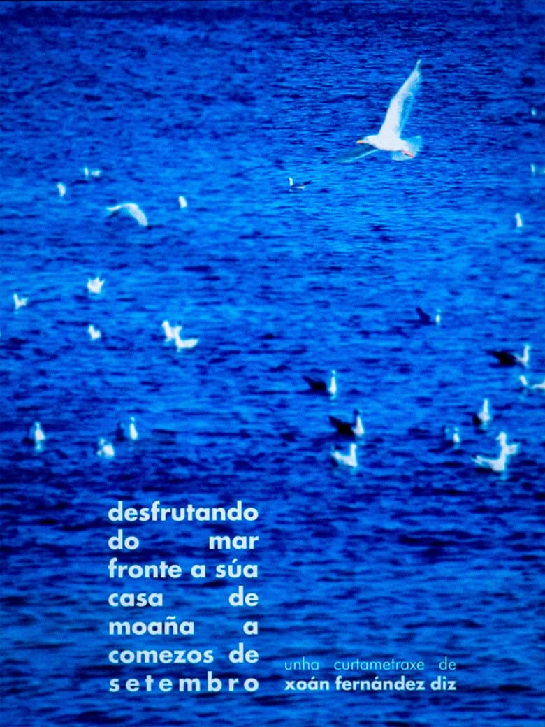 enjoying the sea in front of his house in moaña in early september poster