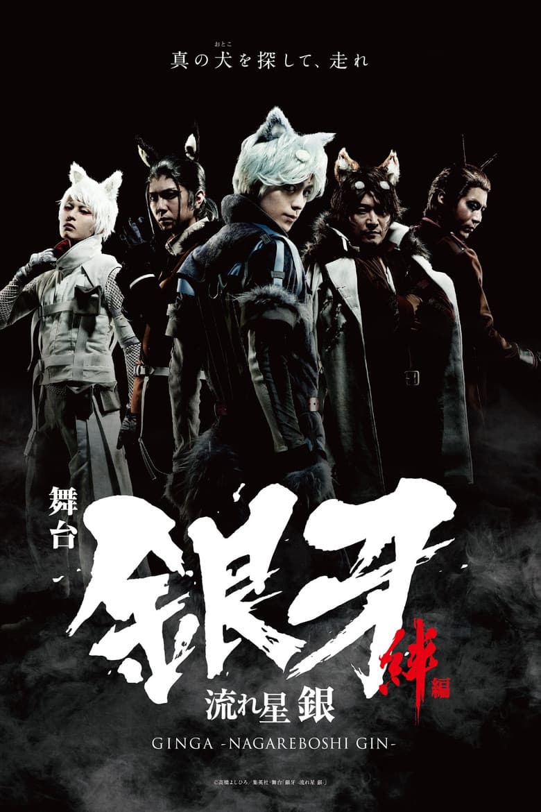 Silver Fang -The Shooting Star Gin part 1- The Ties of Friendship poster