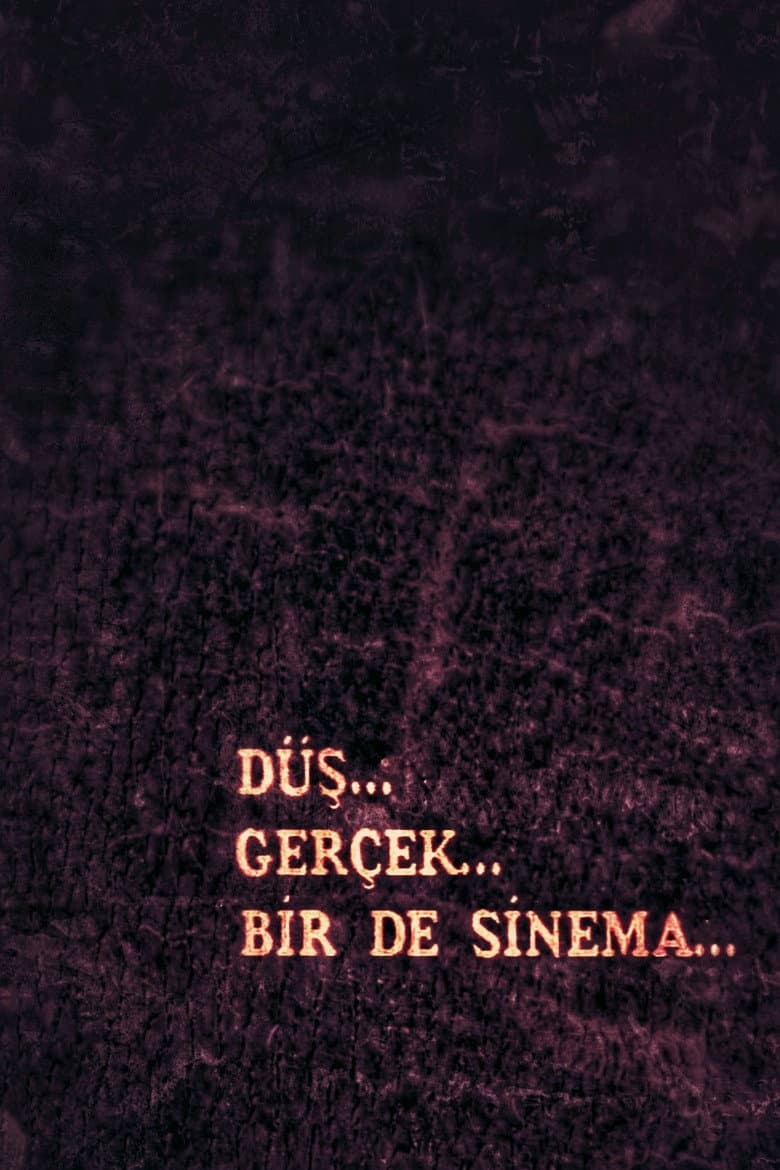 Düş, Gerçek, Bir de Sinema poster