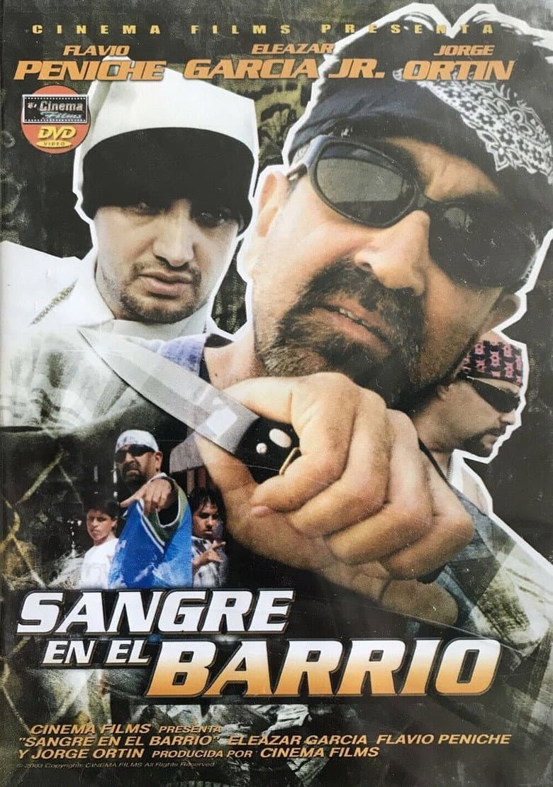Sangre en el barrio poster