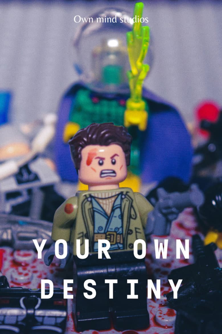 Your Own Destiny poster