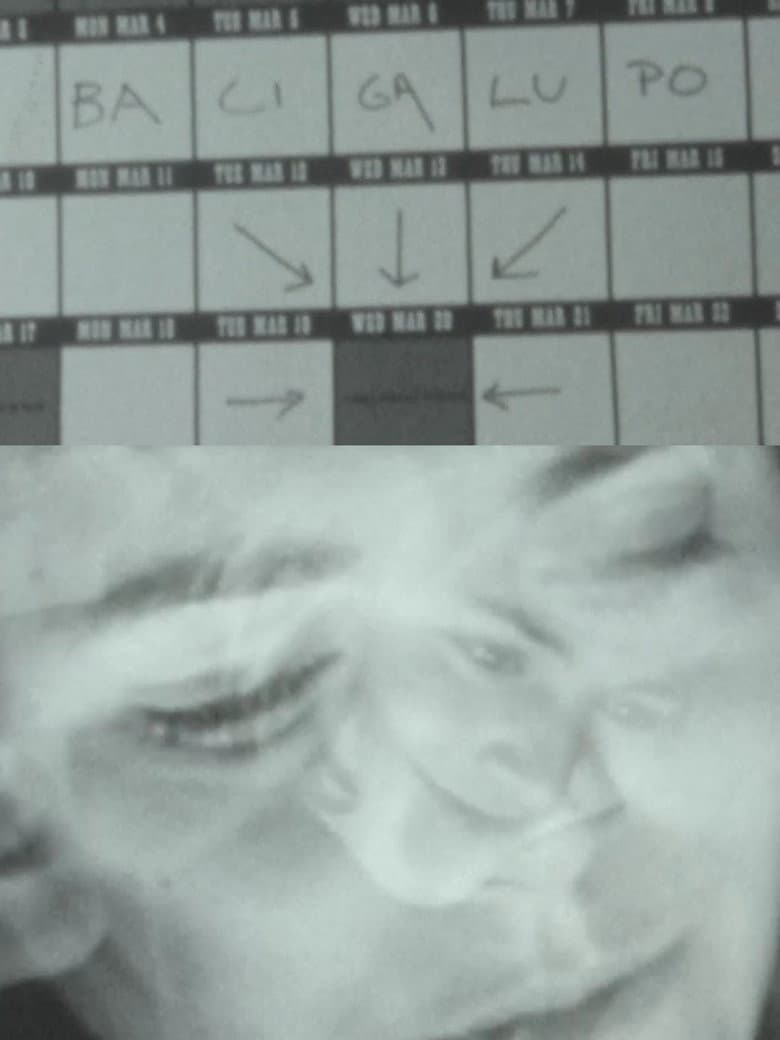 Lingue di luce – M. Bacigalupo racconta il suo cinema poster