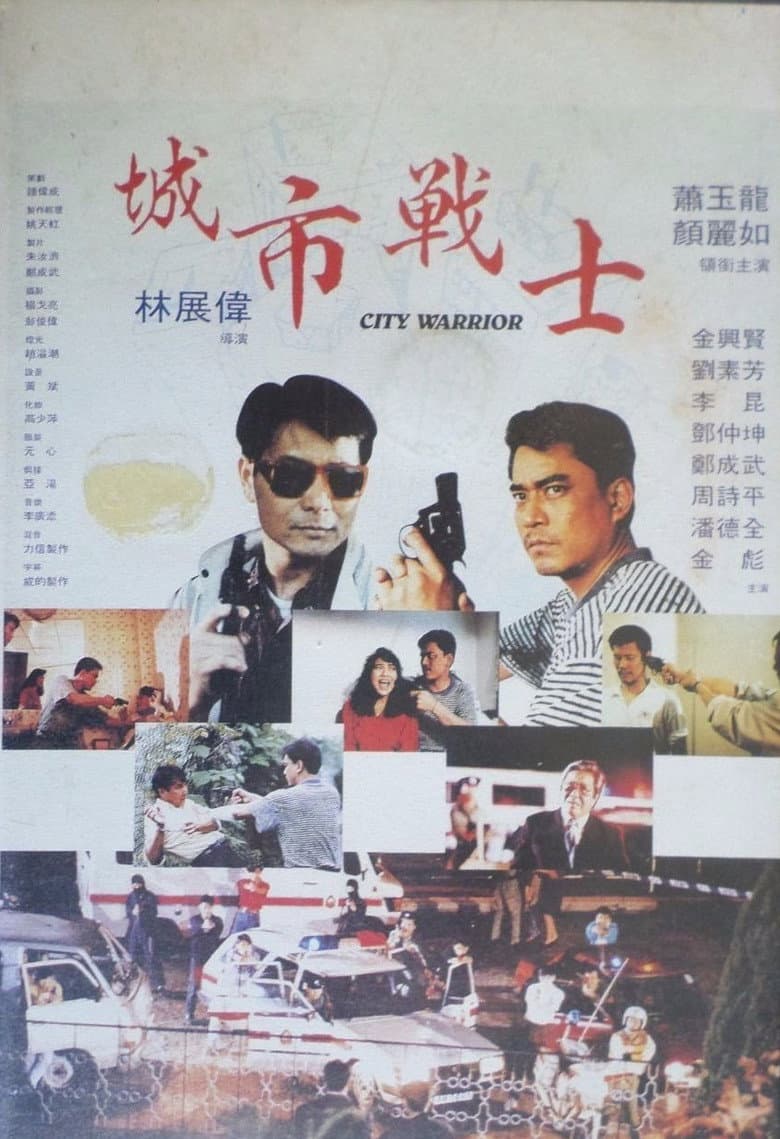 City Warrior poster