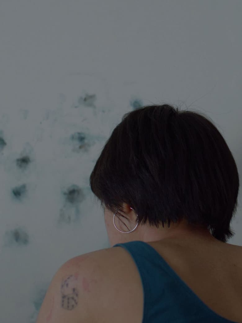 Through the Flow of Summer Snow poster