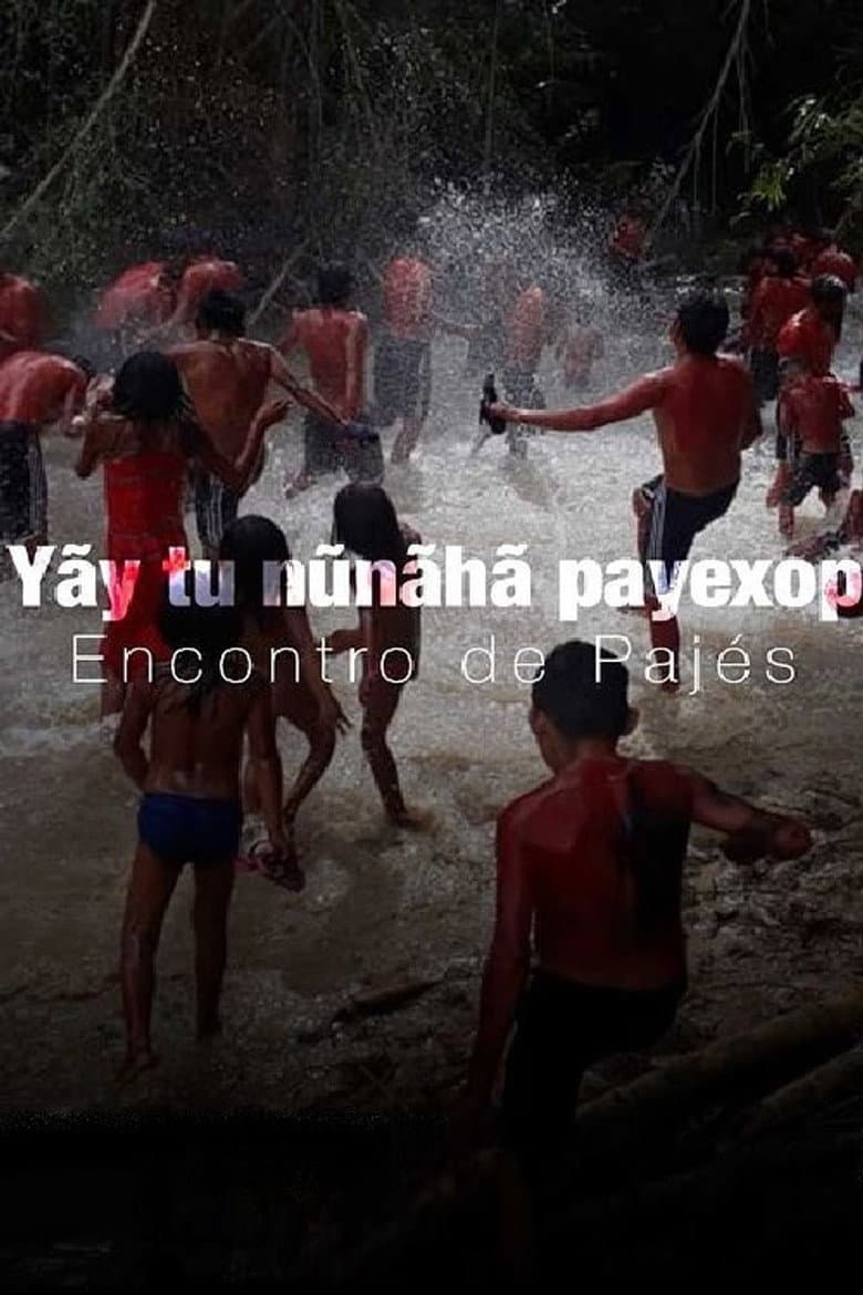 Yãy tu nũnãhã payexop: Encontro de Pajés poster
