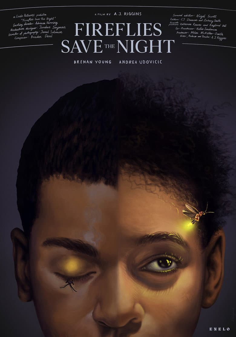 Fireflies Save the Night poster