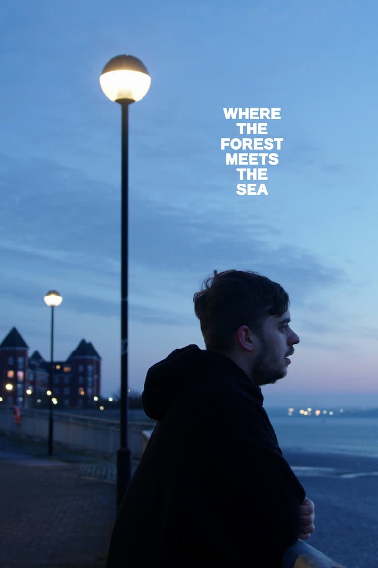 Where the Forest Meets the Sea poster