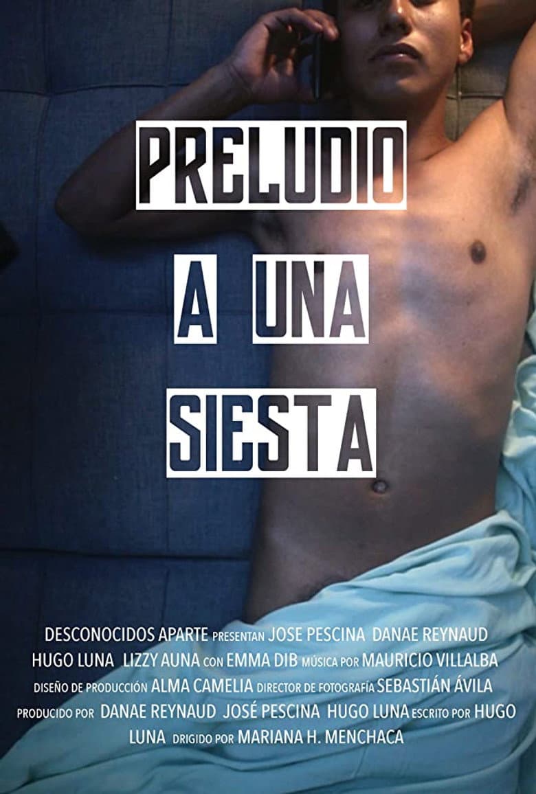 Preludio a una Siesta poster