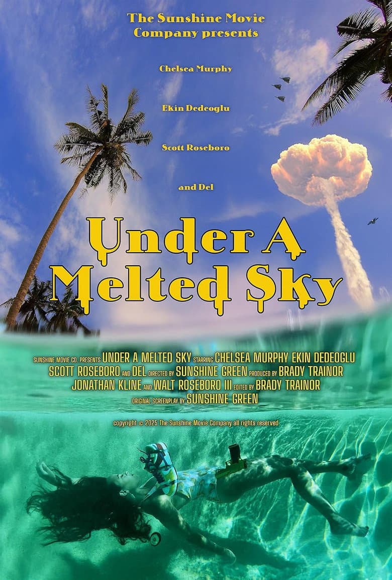 Under a Melted Sky poster