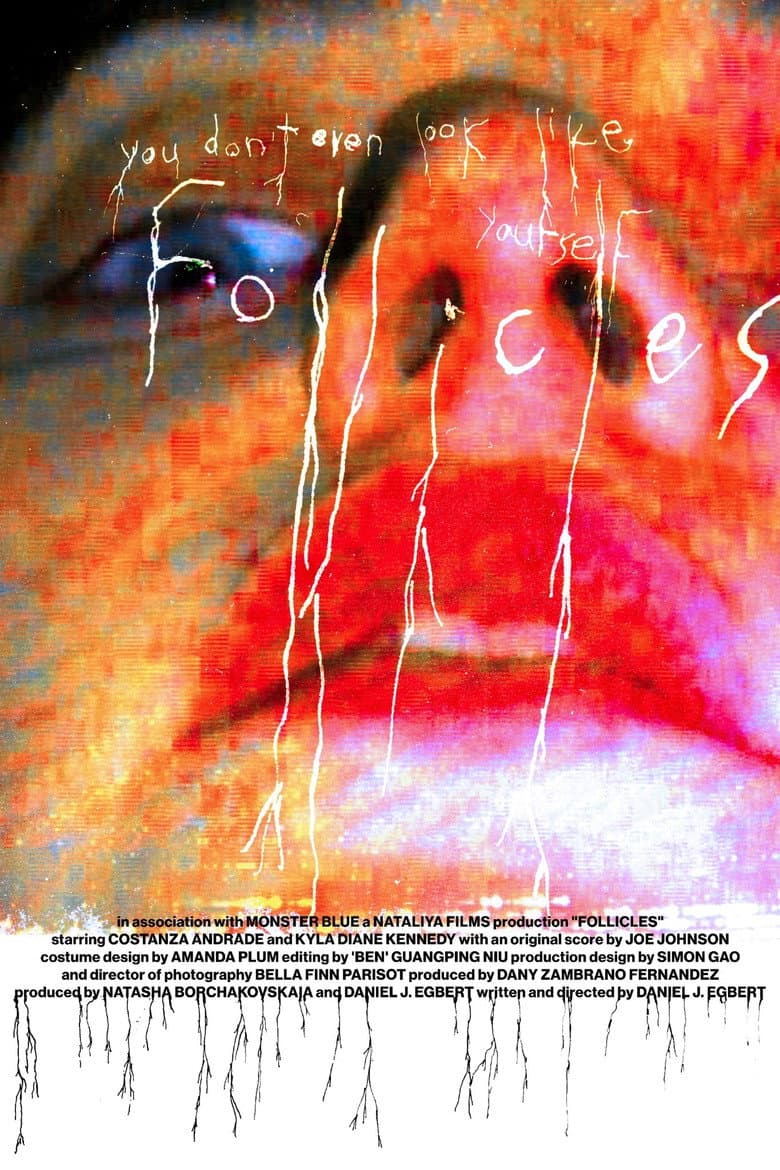 FOLLICLES poster