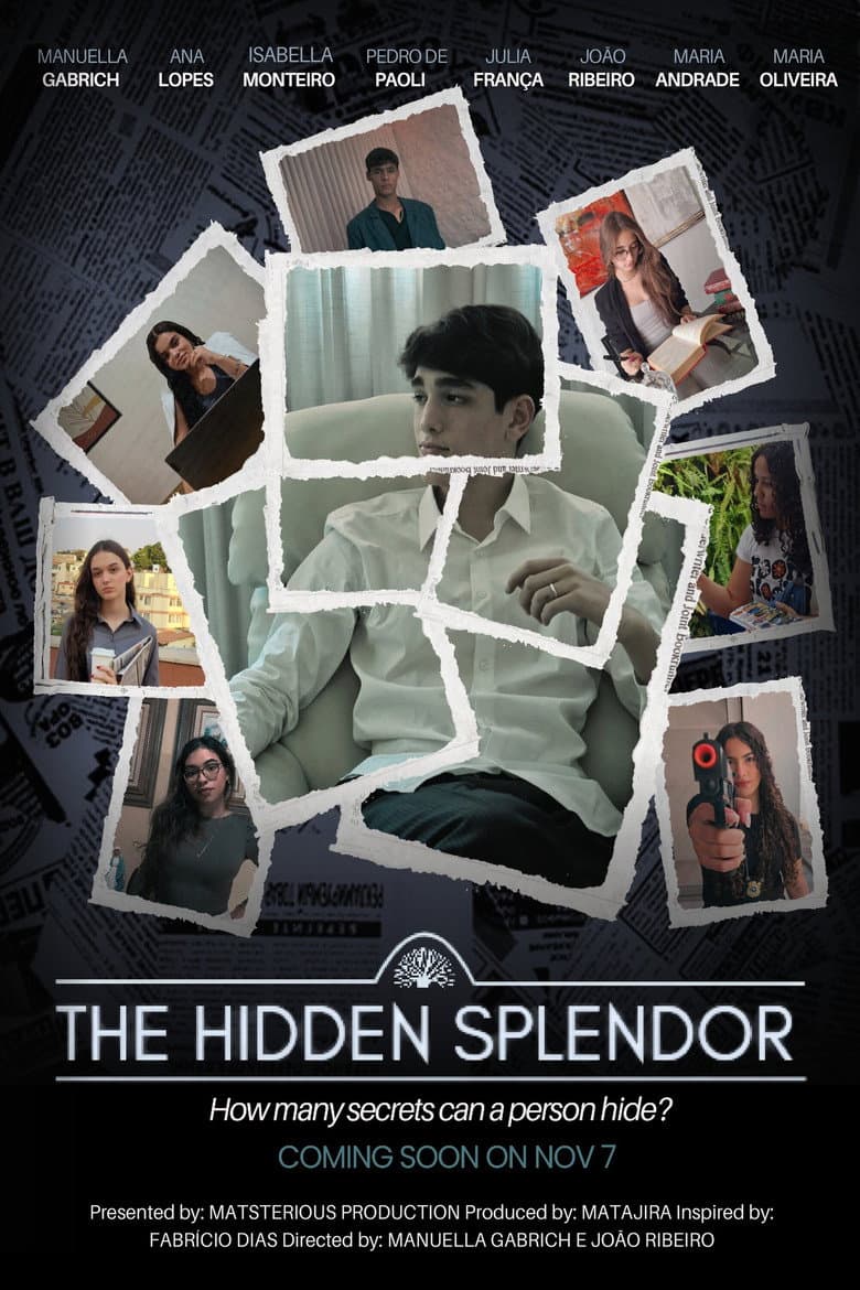 The hidden splendor poster