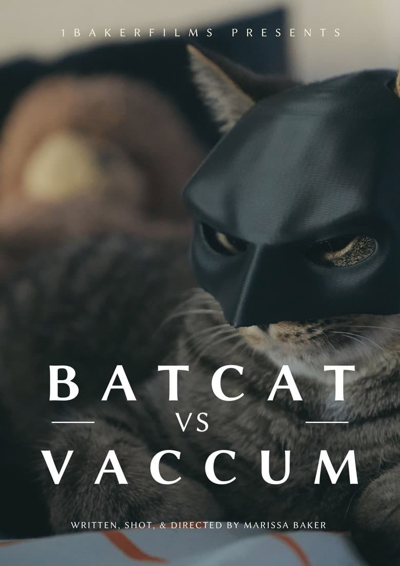 BatCat vs Vacuum poster