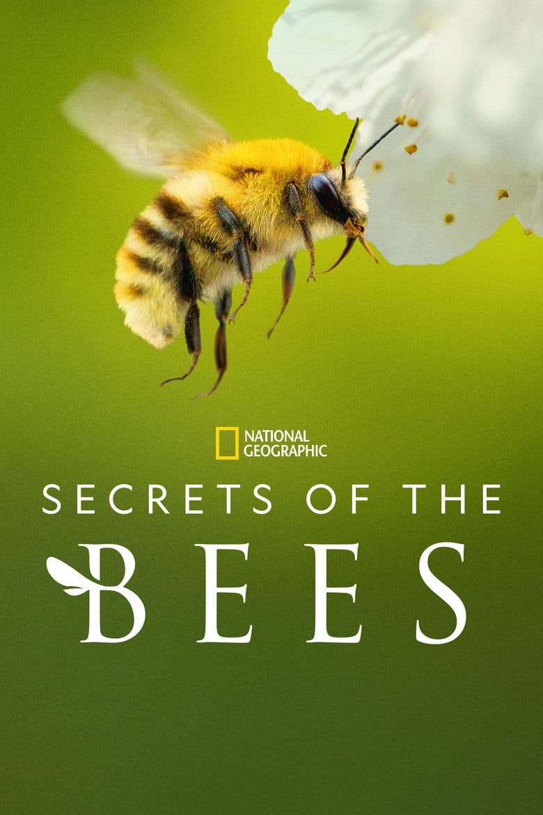 Secrets of the Bees poster