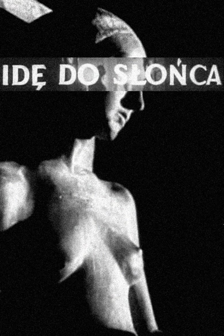 I Walk in the Sun poster