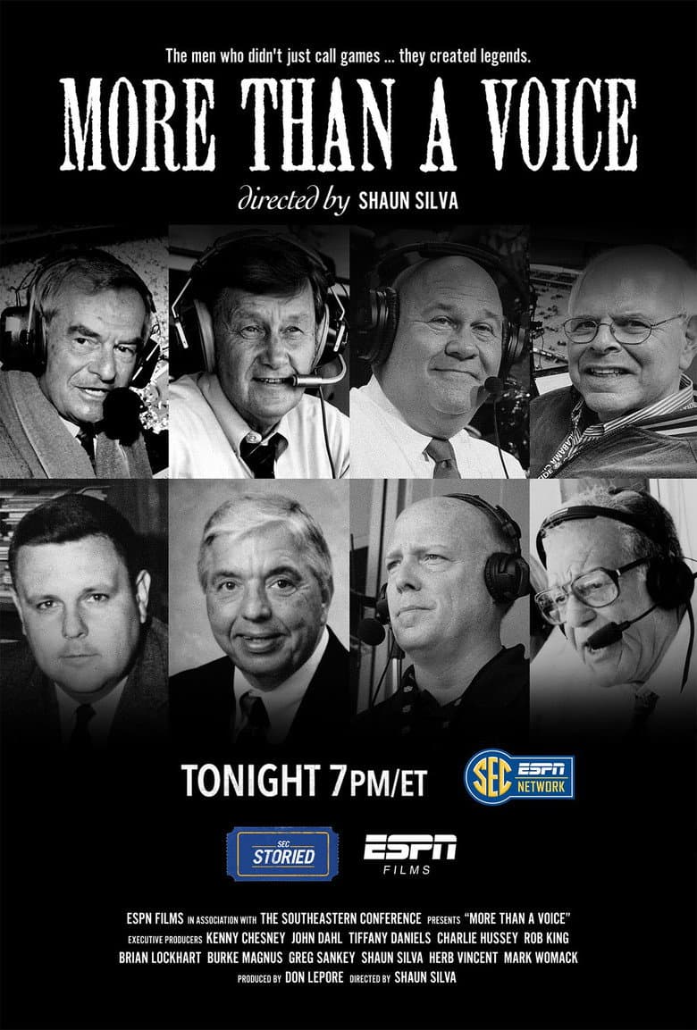 More Than a Voice poster