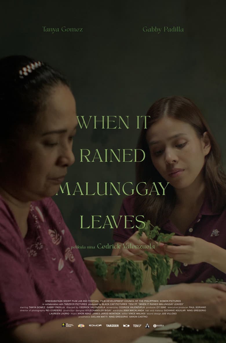 When It Rained Malunggay Leaves poster