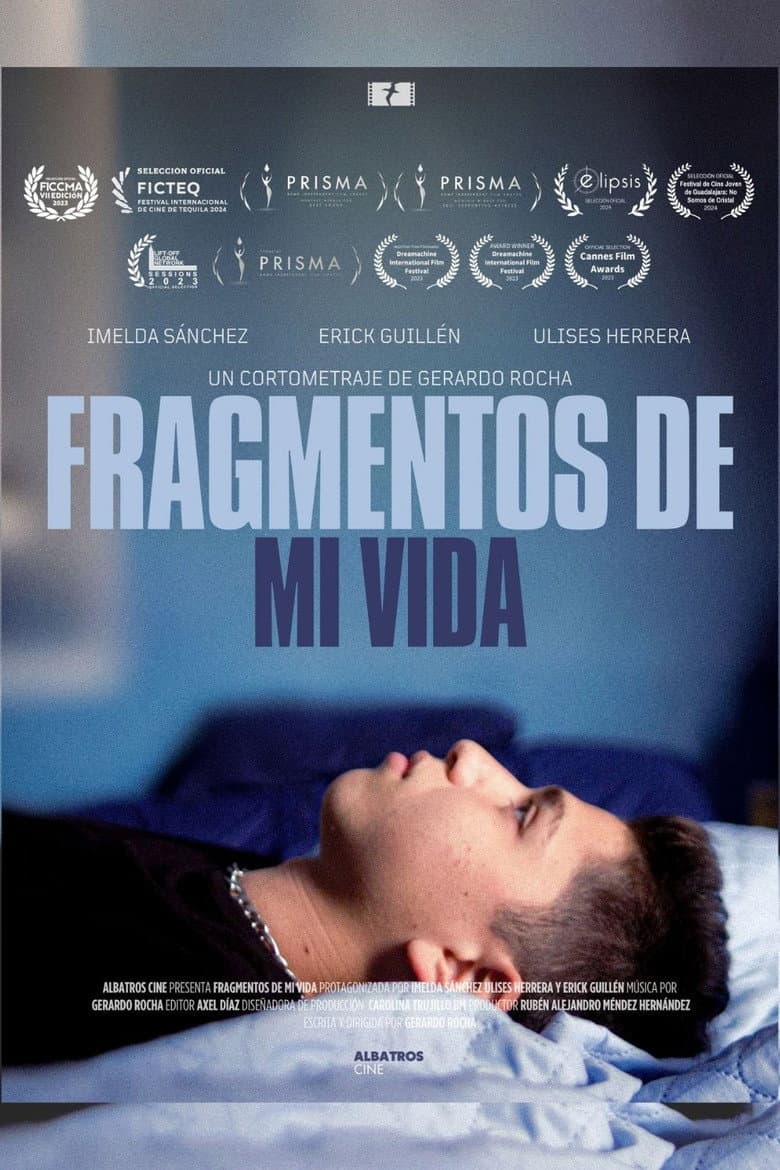 Pieces of my life poster