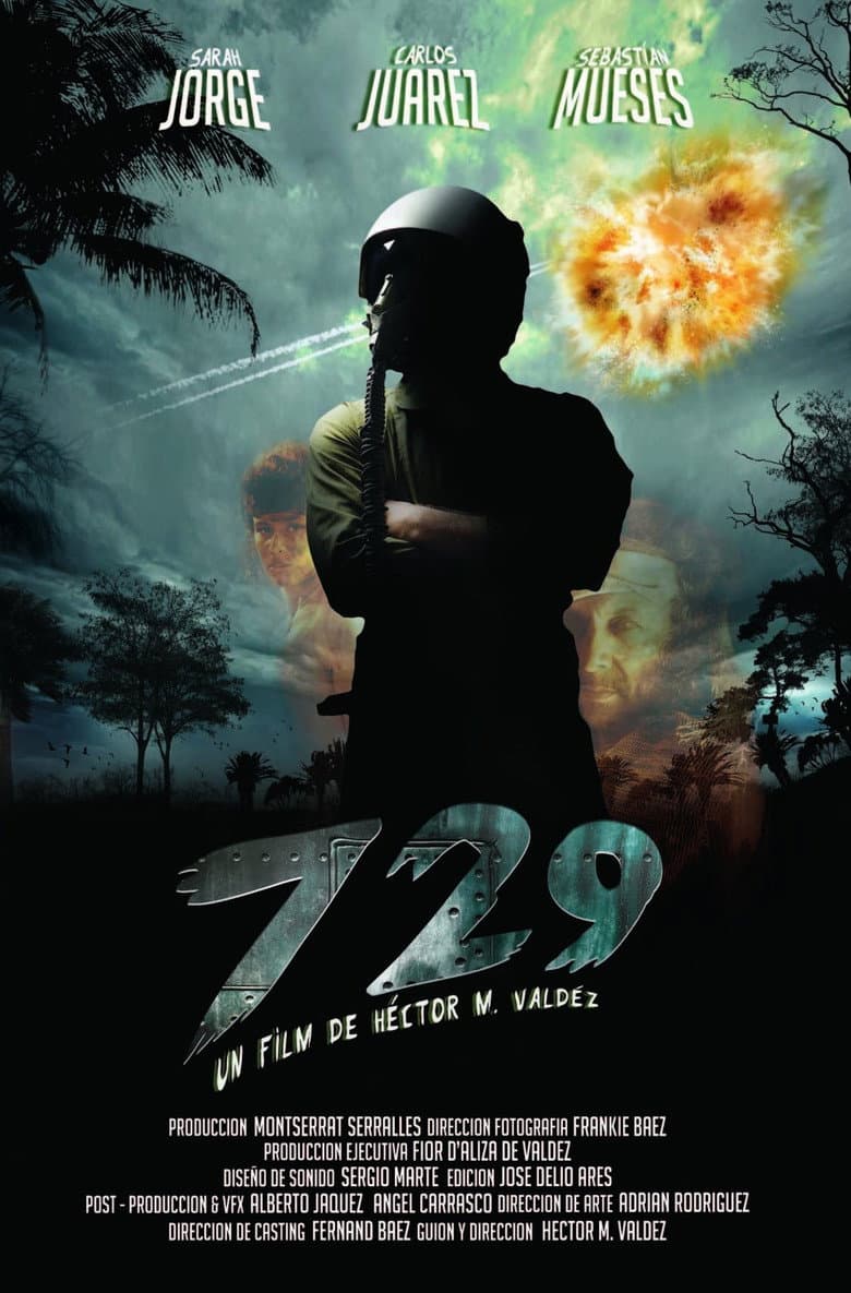 #729 poster