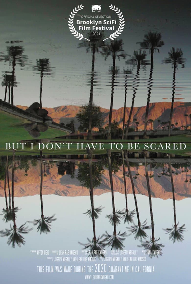 But I Don't Have to Be Scared poster