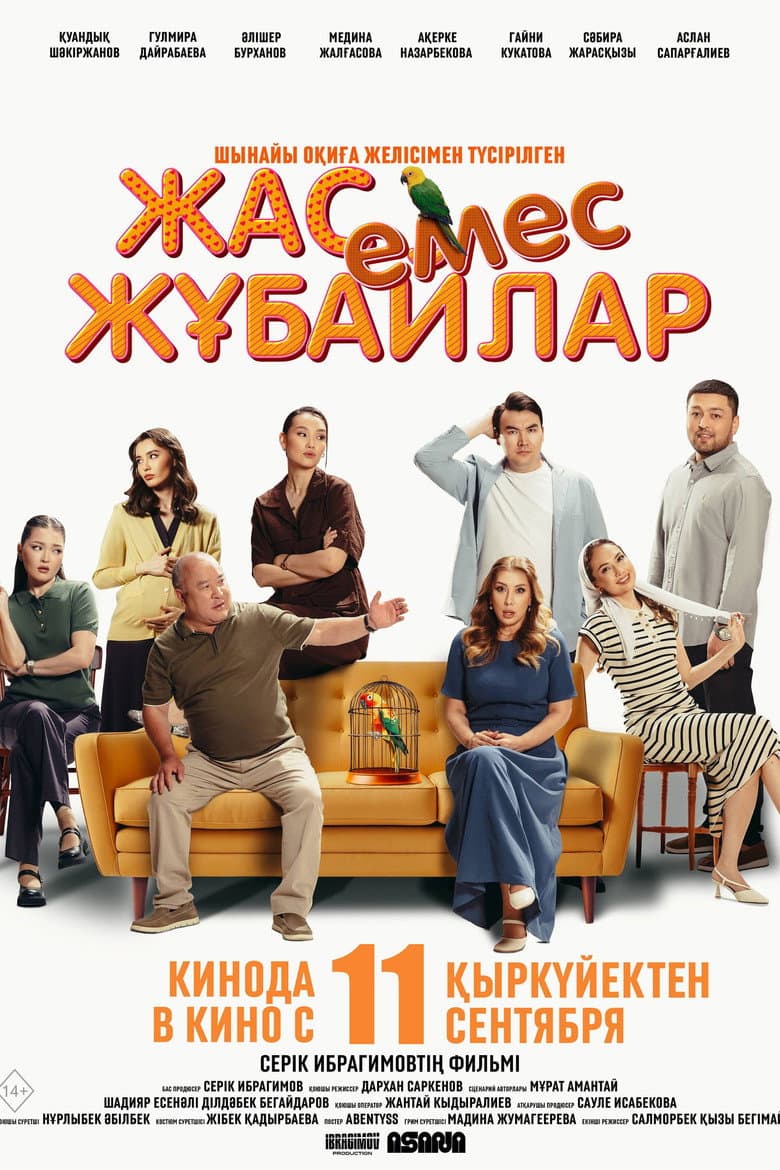 Not A Young Couple poster