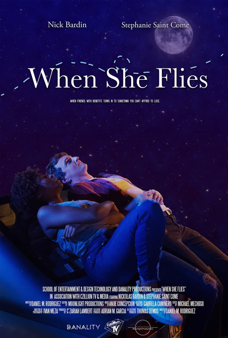When She Flies poster