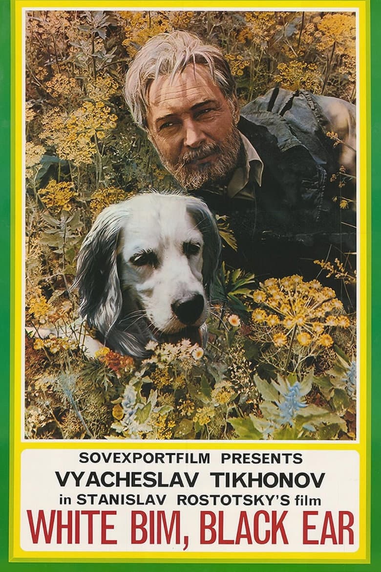 White Bim Black Ear poster