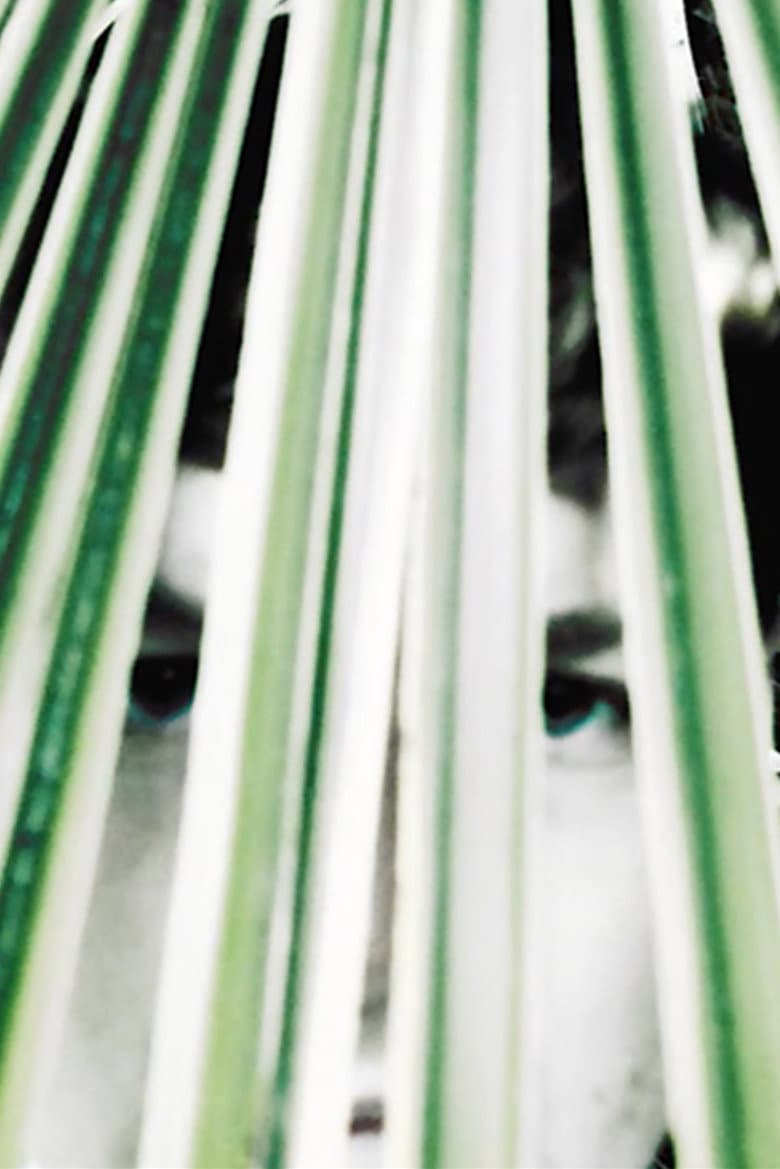 Longing of the idle plants poster
