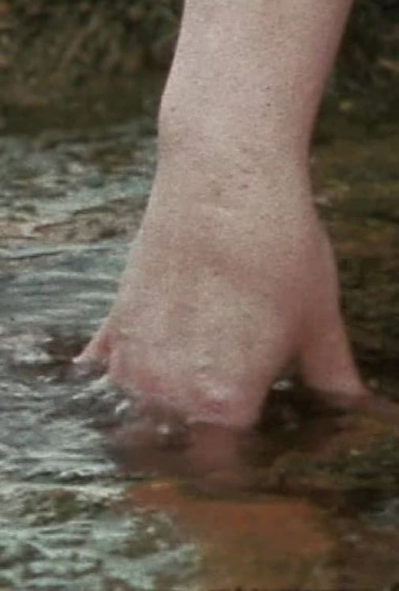 Trois pierres poster