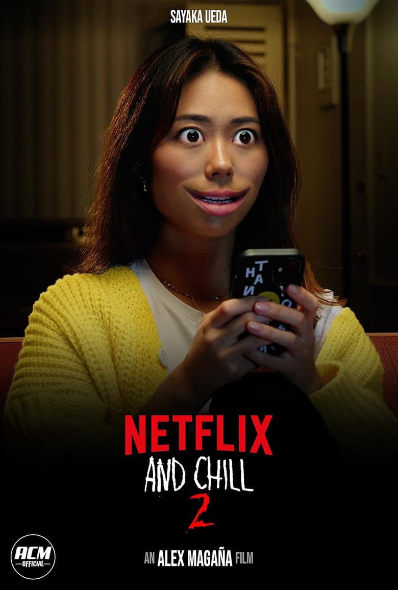 Netflix and Chill 2 poster