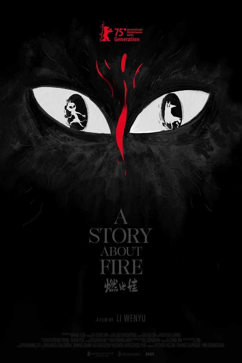 A Story About Fire poster
