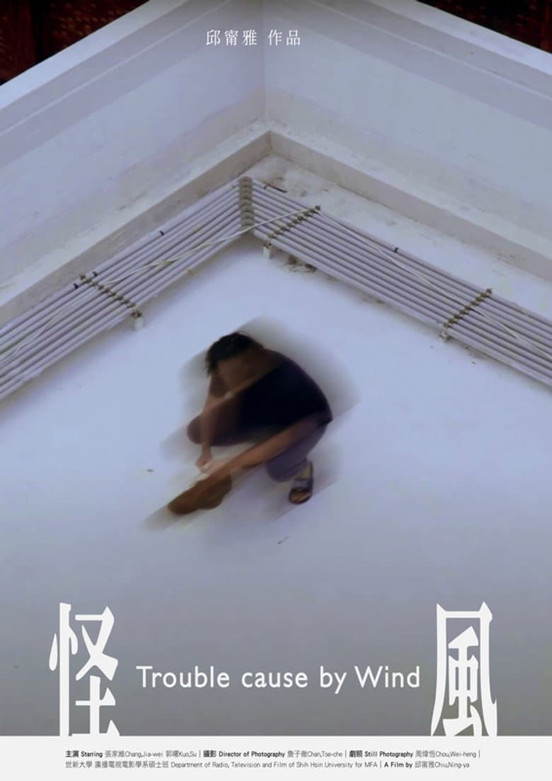 Trouble Cause By Wind poster