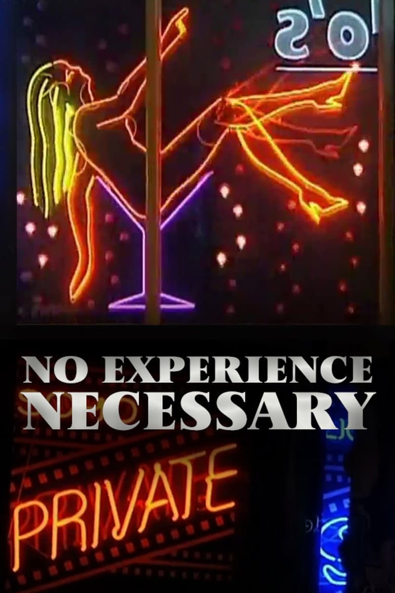 No Experience Necessary poster
